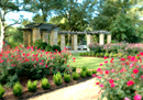 Spring in Morgan County, Alabama