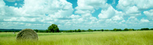 Photo of Sunny Day in Morgan County
