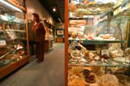 Cook's Natural Science Museum