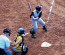 Softball teams