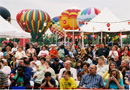 Daikin Festival