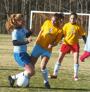 World Class Soccer Fields
